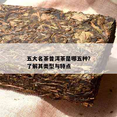 五大名茶普洱茶是哪五种？熟悉其类型与特点