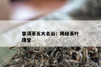 普洱茶五大名山：揭秘茶叶瑰宝