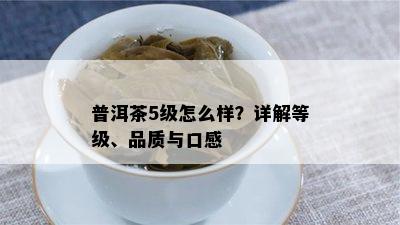 普洱茶5级怎么样？详解等级、品质与口感