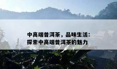 中高端普洱茶，品味生活：探索中高端普洱茶的魅力