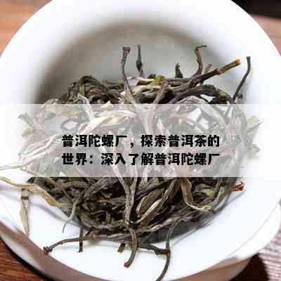 普洱陀螺厂，探索普洱茶的世界：深入熟悉普洱陀螺厂