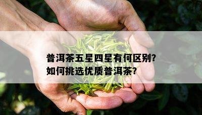 普洱茶五星四星有何区别？如何挑选优质普洱茶？