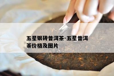 五星银砖普洱茶-五星普洱茶价格及图片