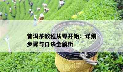 普洱茶教程从零开始：详细步骤与口诀全解析