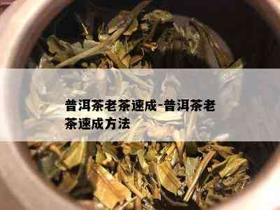 普洱茶老茶速成-普洱茶老茶速成方法