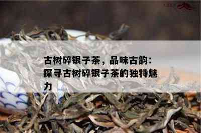 古树碎银子茶，品味古韵：探寻古树碎银子茶的特别魅力