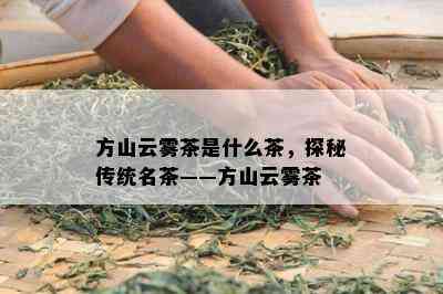 方山云雾茶是什么茶，探秘传统名茶——方山云雾茶