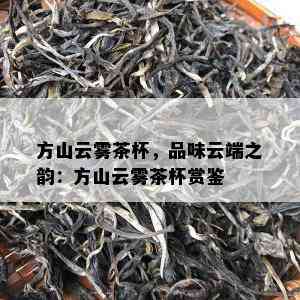 方山云雾茶杯，品味云端之韵：方山云雾茶杯赏鉴