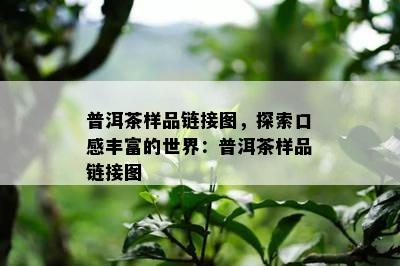 普洱茶样品链接图，探索口感丰富的世界：普洱茶样品链接图