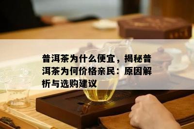 普洱茶为什么便宜，揭秘普洱茶为何价格亲民：原因解析与选购建议