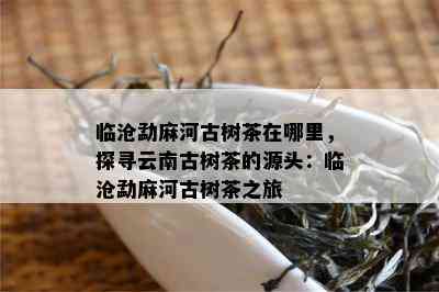 临沧勐麻河古树茶在哪里，探寻云南古树茶的源头：临沧勐麻河古树茶之旅