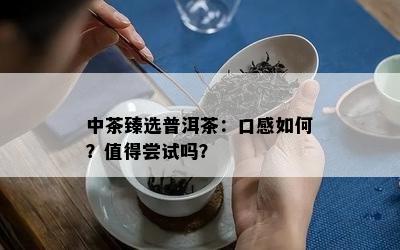 中茶臻选普洱茶：口感如何？值得尝试吗？