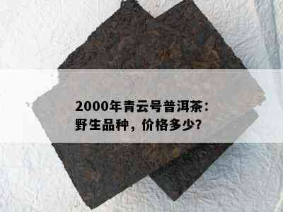 2000年青云号普洱茶：野生品种，价格多少？