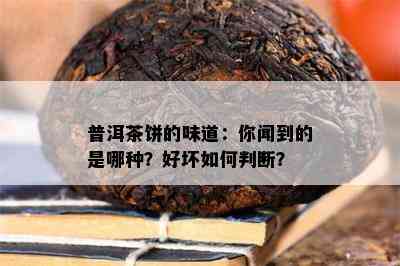 普洱茶饼的味道：你闻到的是哪种？好坏如何判断？