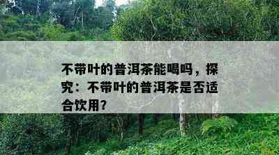 不带叶的普洱茶能喝吗，探究：不带叶的普洱茶是不是适合饮用？