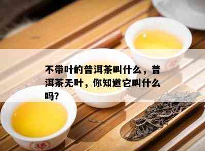 不带叶的普洱茶叫什么，普洱茶无叶，你知道它叫什么吗？