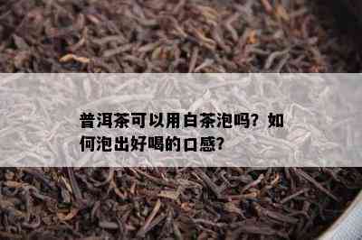 普洱茶可以用白茶泡吗？怎样泡出好喝的口感？