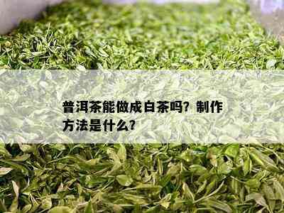 普洱茶能做成白茶吗？制作方法是什么？