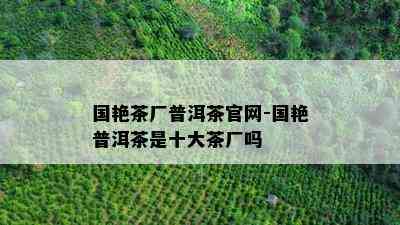 国艳茶厂普洱茶官网-国艳普洱茶是十大茶厂吗