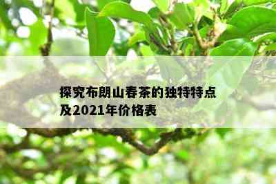 探究布朗山春茶的特别特点及2021年价格表