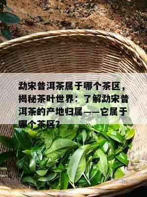 勐宋普洱茶属于哪个茶区，揭秘茶叶世界：了解勐宋普洱茶的产地归属——它属于哪个茶区？