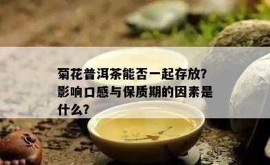 菊花普洱茶能否一起存放？影响口感与保质期的因素是什么？