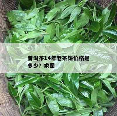 普洱茶14年老茶饼价格是多少？求图