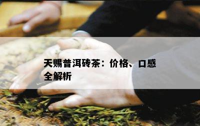 天赐普洱砖茶：价格、口感全解析