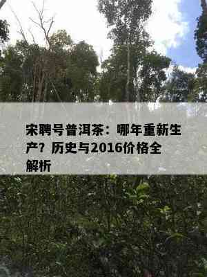 宋聘号普洱茶：哪年重新生产？历史与2016价格全解析