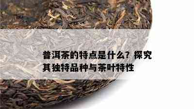 普洱茶的特点是什么？探究其特别品种与茶叶特性