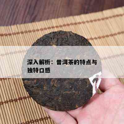 深入解析：普洱茶的特点与特别口感