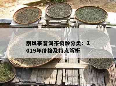 刮风寨普洱茶树龄分类：2019年价格及特点解析