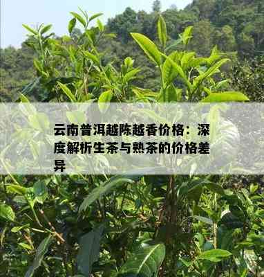 云南普洱越陈越香价格：深度解析生茶与熟茶的价格差异