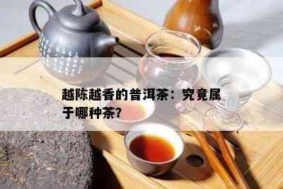 越陈越香的普洱茶：究竟属于哪种茶？