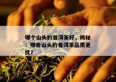 哪个山头的普洱茶好，揭秘：哪些山头的普洱茶品质更优？