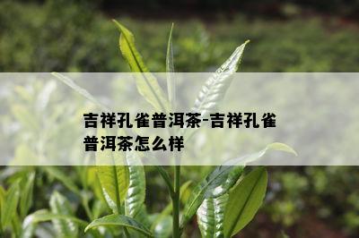 吉祥孔雀普洱茶-吉祥孔雀普洱茶怎么样