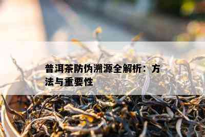 普洱茶防伪溯源全解析：方法与关键性