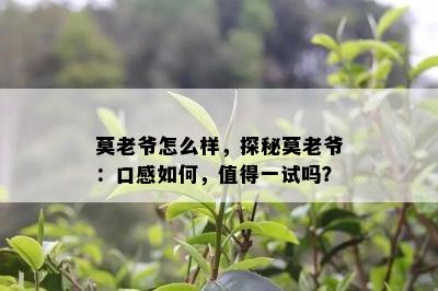 莫老爷怎么样，探秘莫老爷：口感如何，值得一试吗？