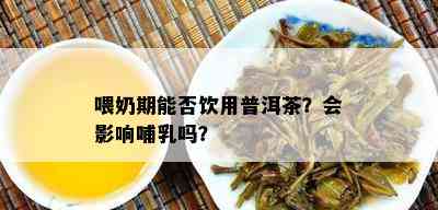 喂奶期能否饮用普洱茶？会作用哺乳吗？