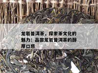 龙岩普洱茶，探索茶文化的魅力：品尝龙岩普洱茶的醇厚口感