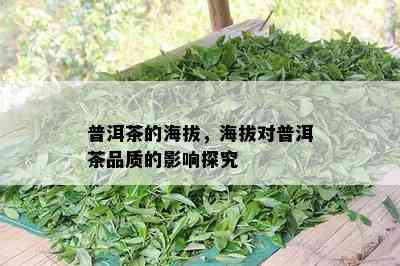 普洱茶的海拔，海拔对普洱茶品质的影响探究