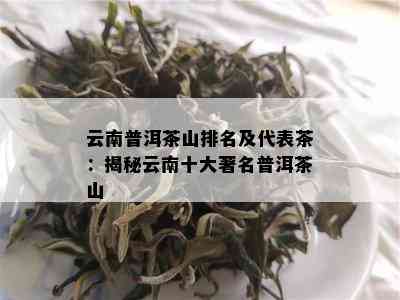 云南普洱茶山排名及代表茶：揭秘云南十大著名普洱茶山