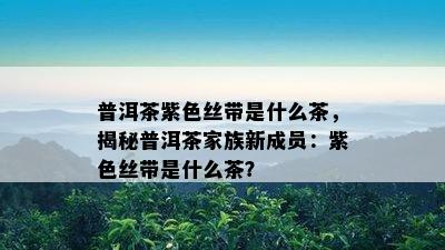 普洱茶紫色丝带是什么茶，揭秘普洱茶家族新成员：紫色丝带是什么茶？