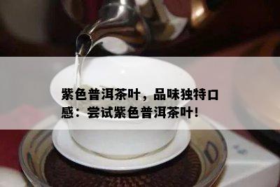 紫色普洱茶叶，品味特别口感：尝试紫色普洱茶叶！