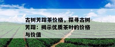 古树芳踪茶价格，探寻古树芳踪：揭示优质茶叶的价格与价值