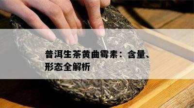 普洱生茶黄曲霉素：含量、形态全解析