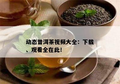 动态普洱茶视频大全：下载、观看全在此！