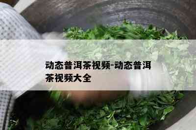 动态普洱茶视频-动态普洱茶视频大全