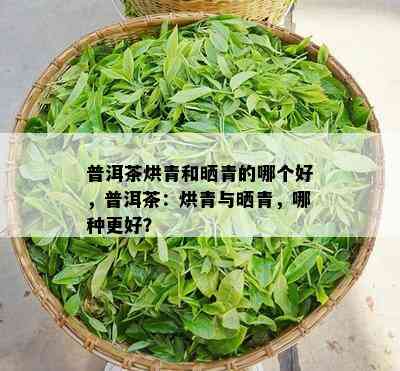 普洱茶烘青和晒青的哪个好，普洱茶：烘青与晒青，哪种更好？