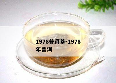 1978普洱茶-1978年普洱